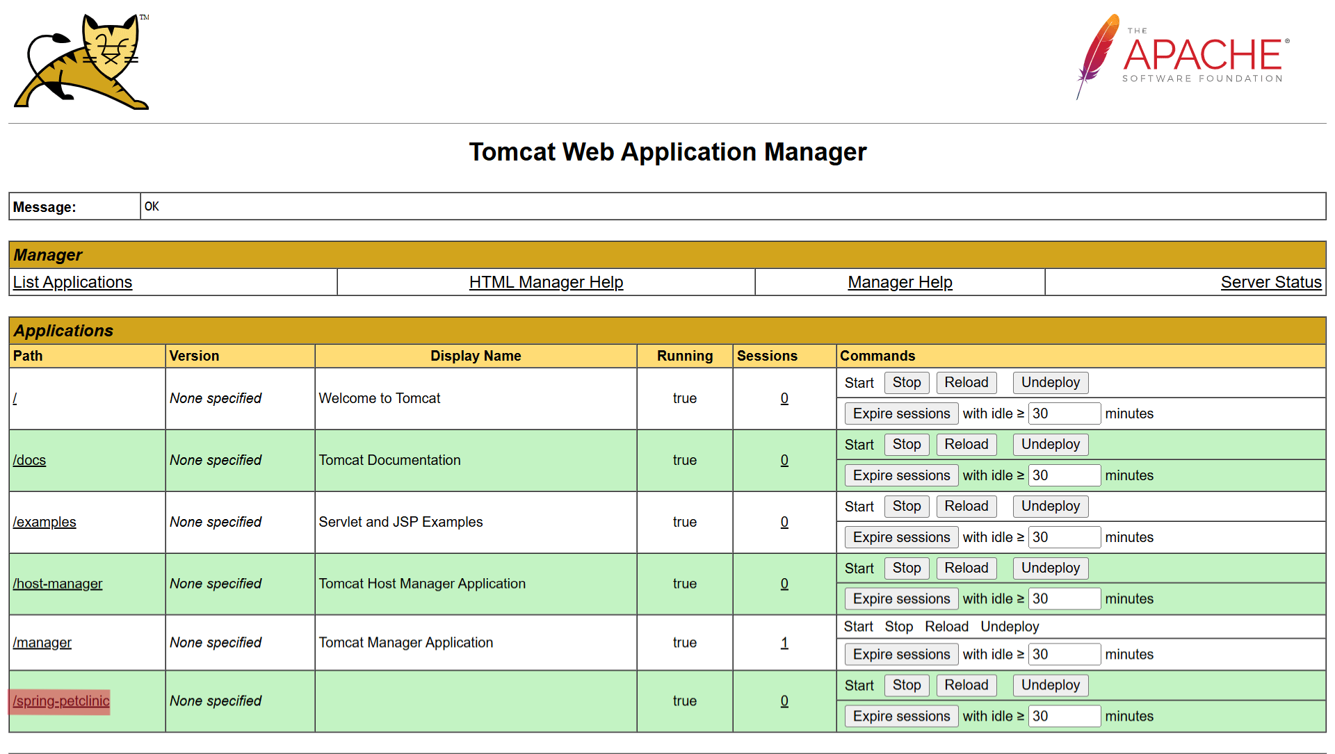 Tomcat Manager